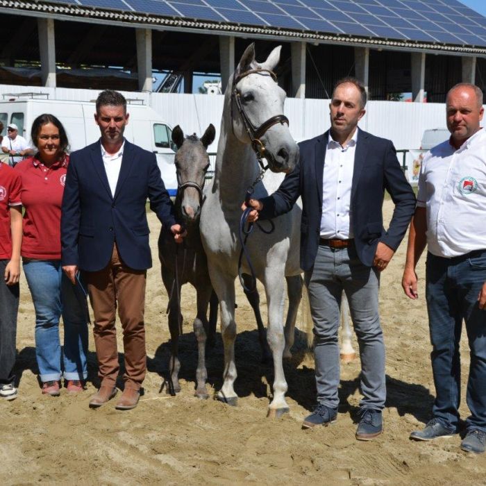 Najboljši rejci & udeležba na Mednarodnem kmetijsko-živilskem sejmu AGRA 2025