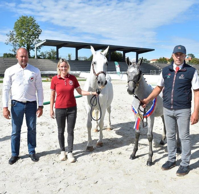 Rejska razstava žrebet in ocenjevanje kobil in preskus delovne sposobnosti v Kobilarni Lipica 27.09.2025