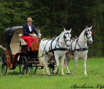 491791656_29380625588250501_7384197202254877976_n