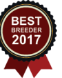best_breeder-1